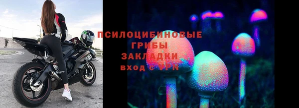 МДПВ Абинск
