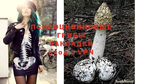 ГАЛЛЮЦИНОГЕННЫЕ ГРИБЫ Абдулино