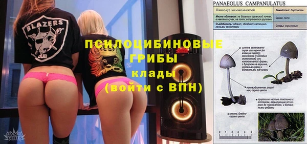 ешки Няндома