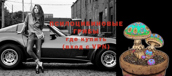 МДПВ Абинск