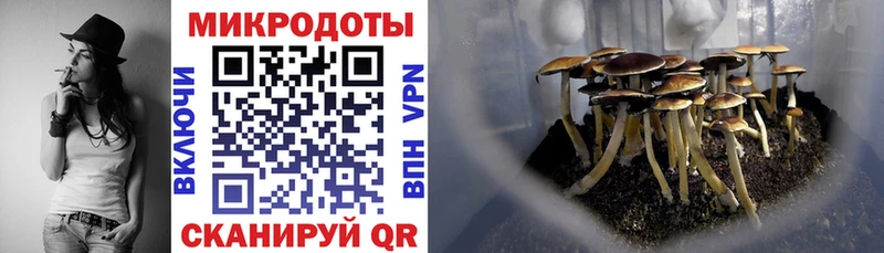 Псилоцибиновые грибы MAGIC MUSHROOMS Черногорск