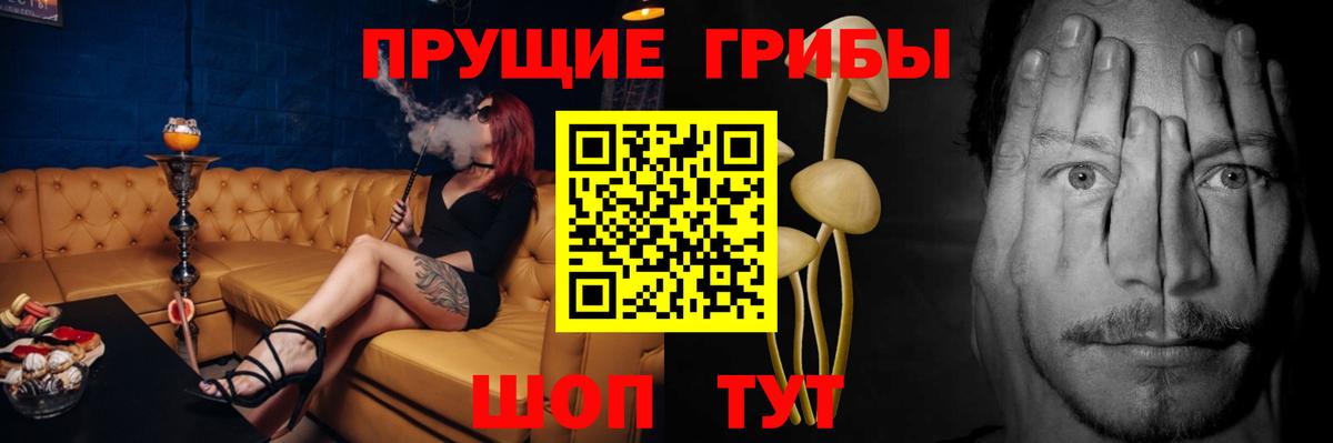 Галлюциногенные грибы Psilocybine cubensis  Вход с VPN  Черногорск  Псилоцибиновые грибы MAGIC MUSHROOMS 